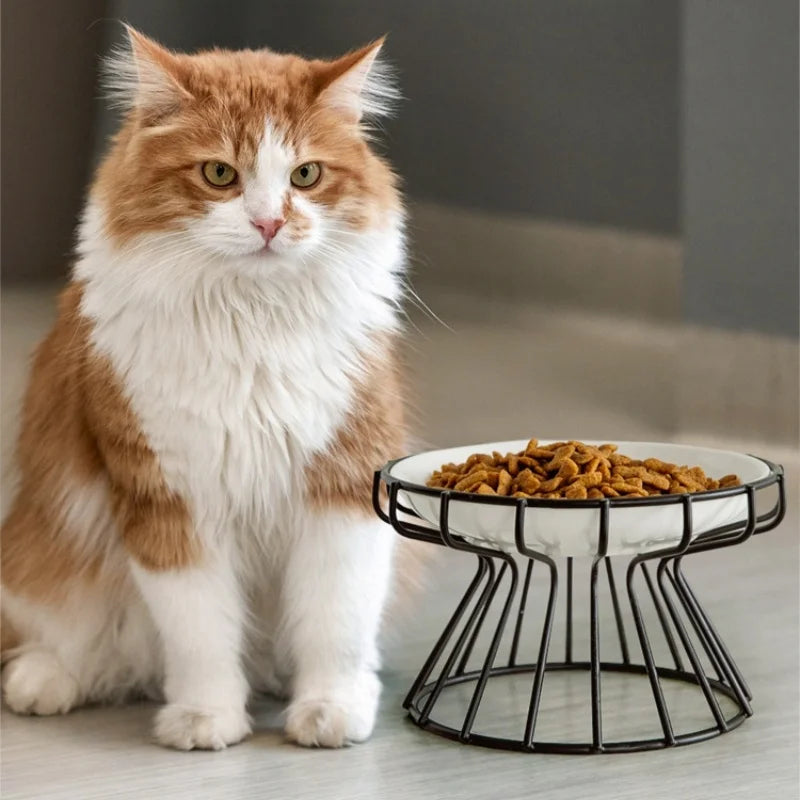 Nehvik-Eco Minimalist Ceramic Feeder