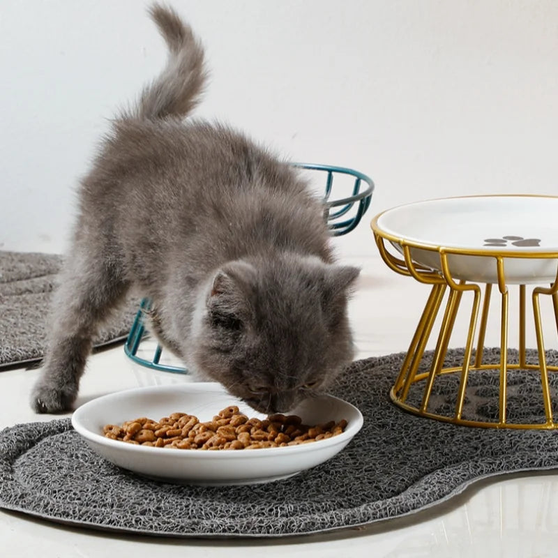Nehvik-Eco Minimalist Ceramic Feeder